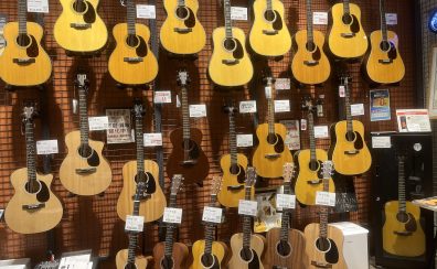 【Martin Acoustic Guitar Fair】4/15(日)～5/7(日)