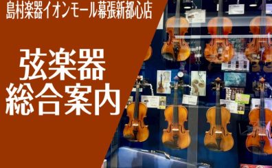 弦楽器総合案内
