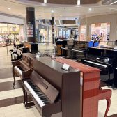 春のピアノ大展示会2026  35台以上の展示会！