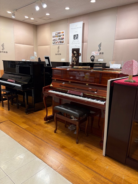 島村楽器イオンモール幕張新都心店では4/17(金)～19(日)にピアノビッグフェアを行います。 電子ピアノ40台、アップライトピアノ15台以上のご用意をしております。 プレミアム、アウトレットピアノのご用意もしておりますので、是非、イオンモール幕張新都心店にご来店くださいませ。