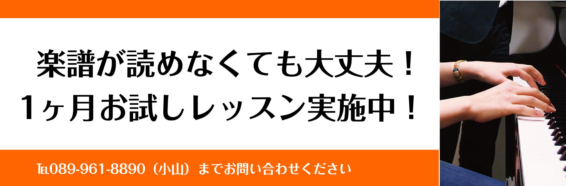 11か月お試しレッスン