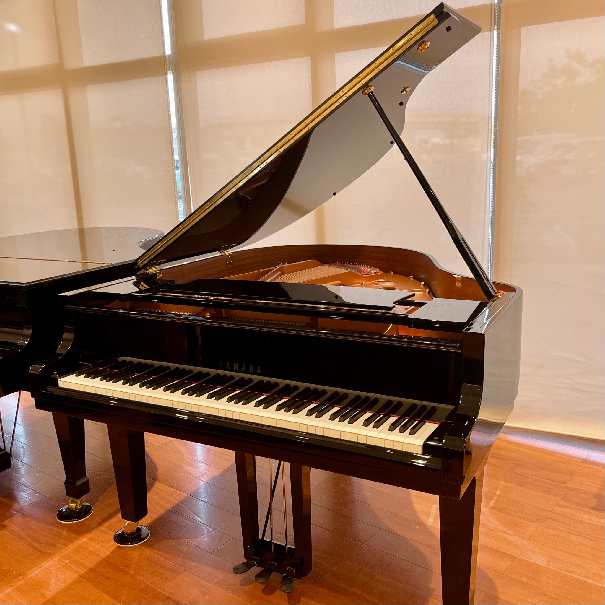 YAMAHA C1X