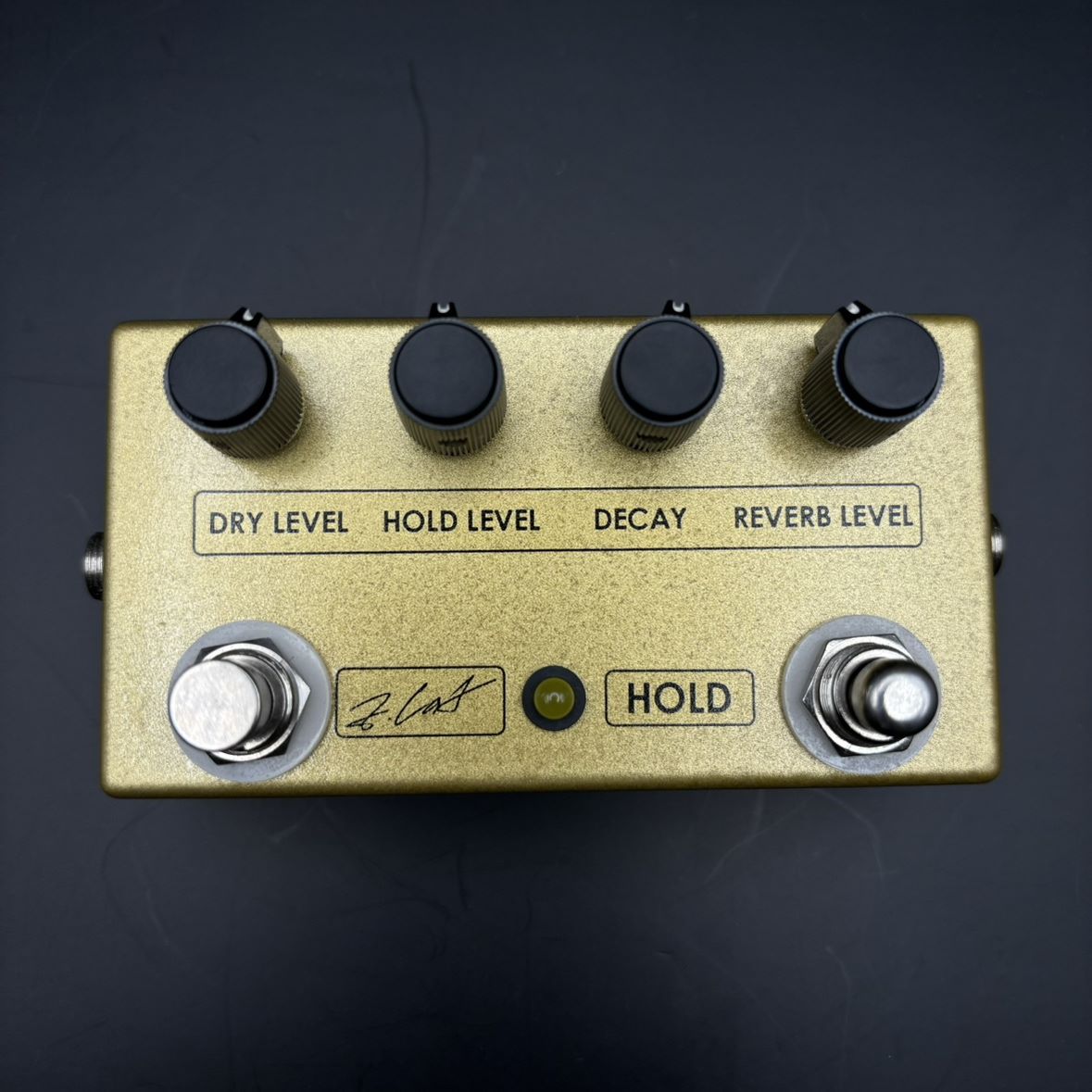 ZCAT Pedals【中古】Hold Reverb
