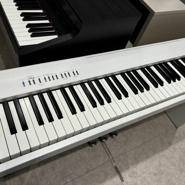 FP-30X　<br />
￥99,000(税込)