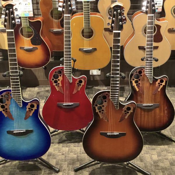 【 Ovation Celevrity多数入荷！ 】