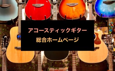 アコースティックギター総合ページ