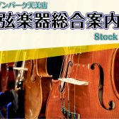 【弦楽器メインページ】堺・松原で弦楽器をお探しの方は島村楽器セブンパーク天美店へ！