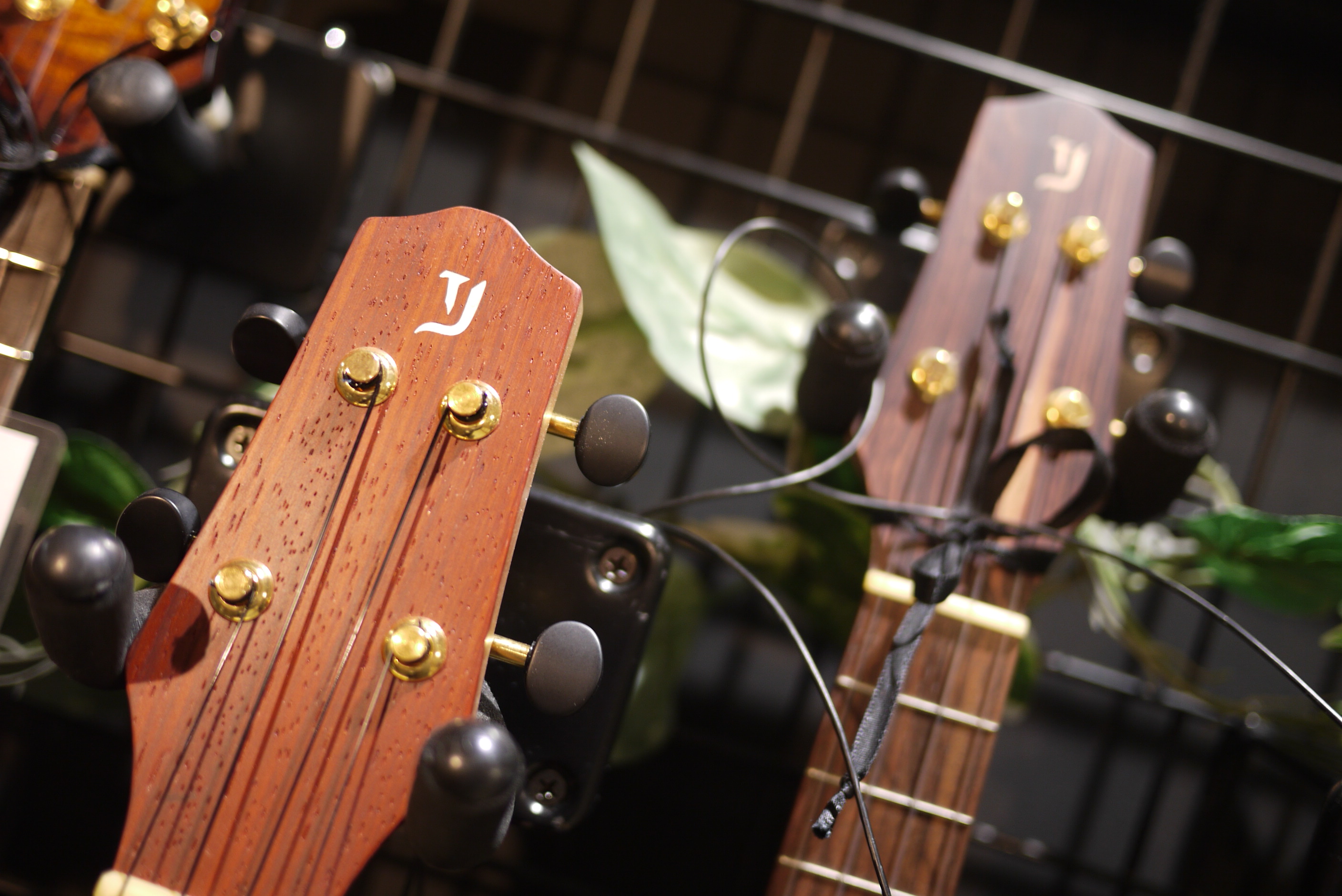 *Yokoyama Guitars 長野県筑北村にてビルダー横山正氏によって作られている信州を代表するアコースティックギター「Yokoyama Guitars」からコンサートサイズのウクレレが3本入荷しました！ ***知る人ぞ知るアコースティック界の巨匠『横山正』氏 ハイエンドなアコースティックギタ […]