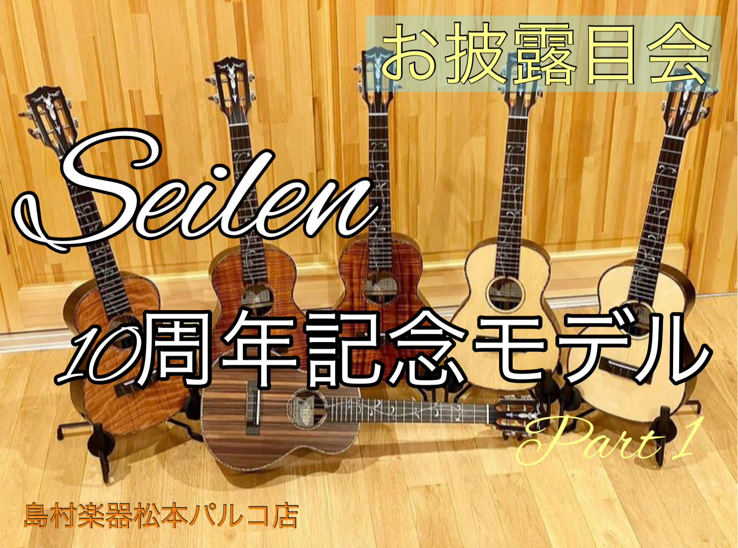 【セイレン10周年記念モデル】Seilen SLTS-890ES #1420 抽選販売『受付期間：受付終了しました』