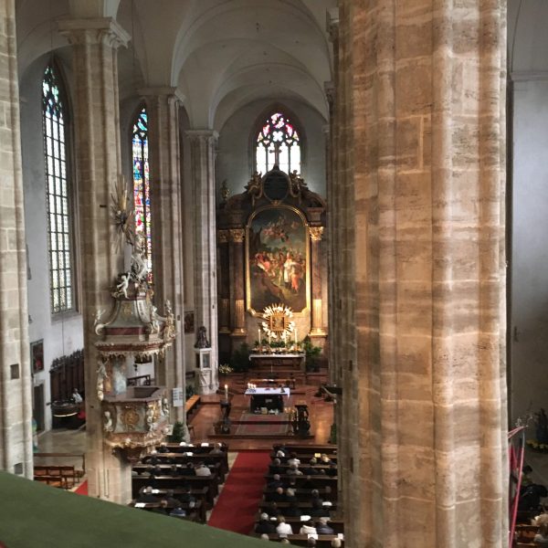 ウィーンから電車で30分程にある小さな町の教会で演奏のお仕事があり、良く出向いていた教会の演奏席から見える景色です。