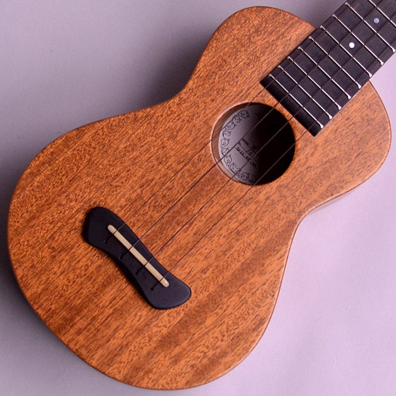【ウクレレ入荷情報】Leaf Instruments『照り葉(Teriha)』松本店オーダー品|島村楽器 イオンモール松本店
