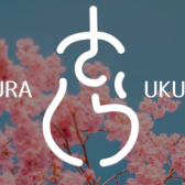 【地元“信州産”ウクレレ】SAKURA UKULELE 多数お取り扱い中！