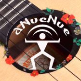 【ウクレレ】aNueNue (アヌエヌエ) お取り扱い中