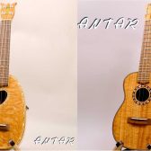 Antar(アンタール)THGF2025出展品入荷！