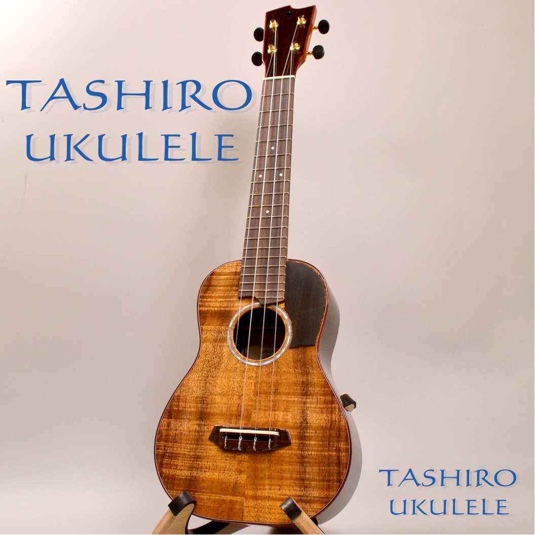 Tashiro Ukulele ／コンサートウクレレMC-KR/pg #13056