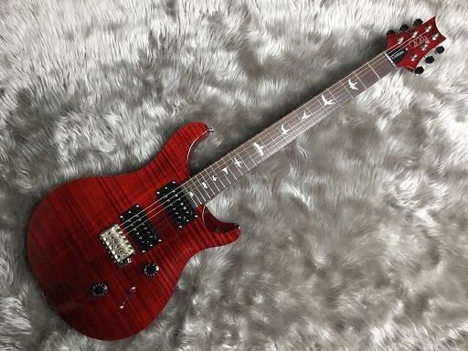 【エレキギター】PRSのSECustom 24 N SRが当店にも入荷致しました！