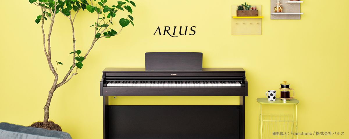 【SOLD OUT】【展示品特別価格】ヤマハARIUSシリーズ YDP-163