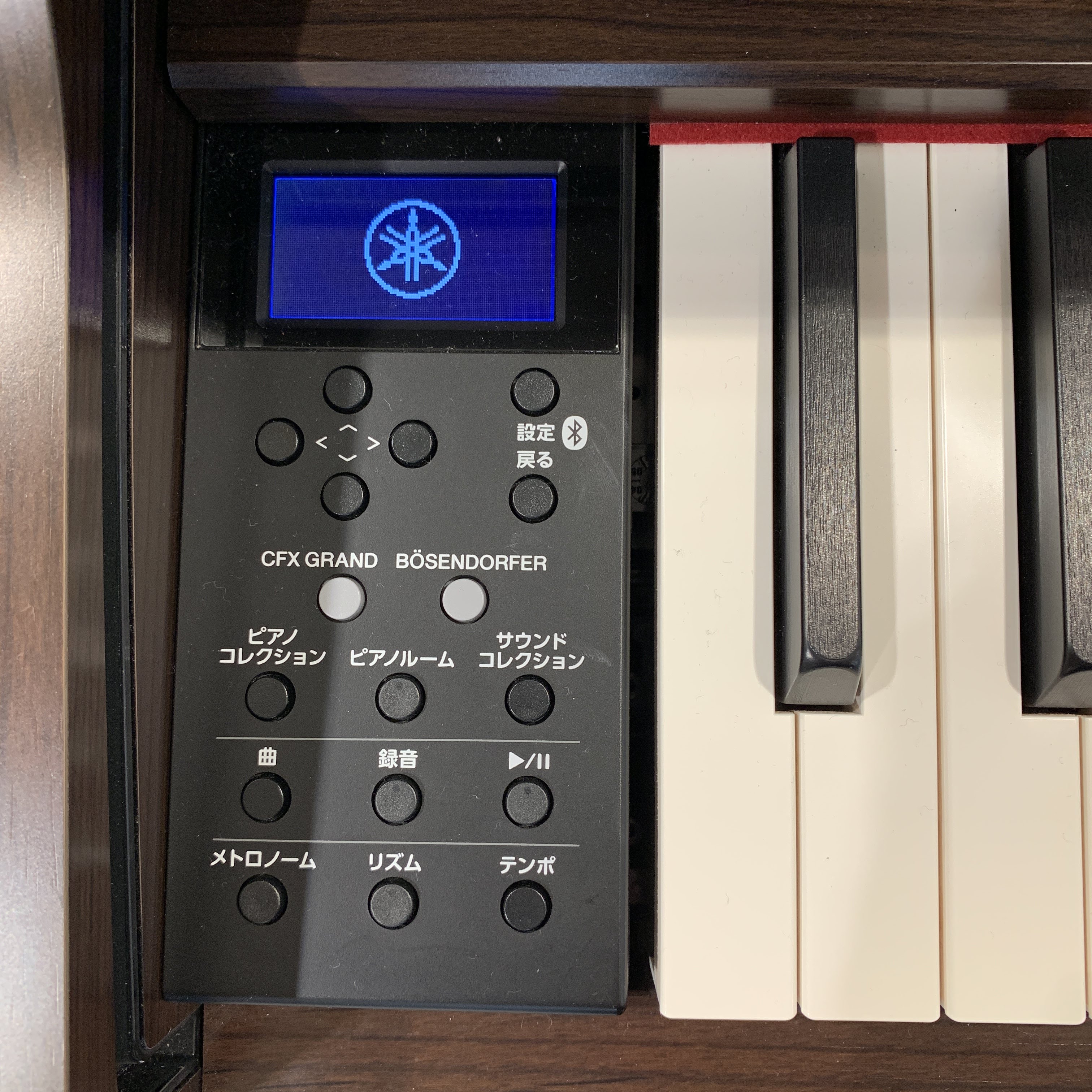 【SOLDOUT】YAMAHA SCLP-6450 DA