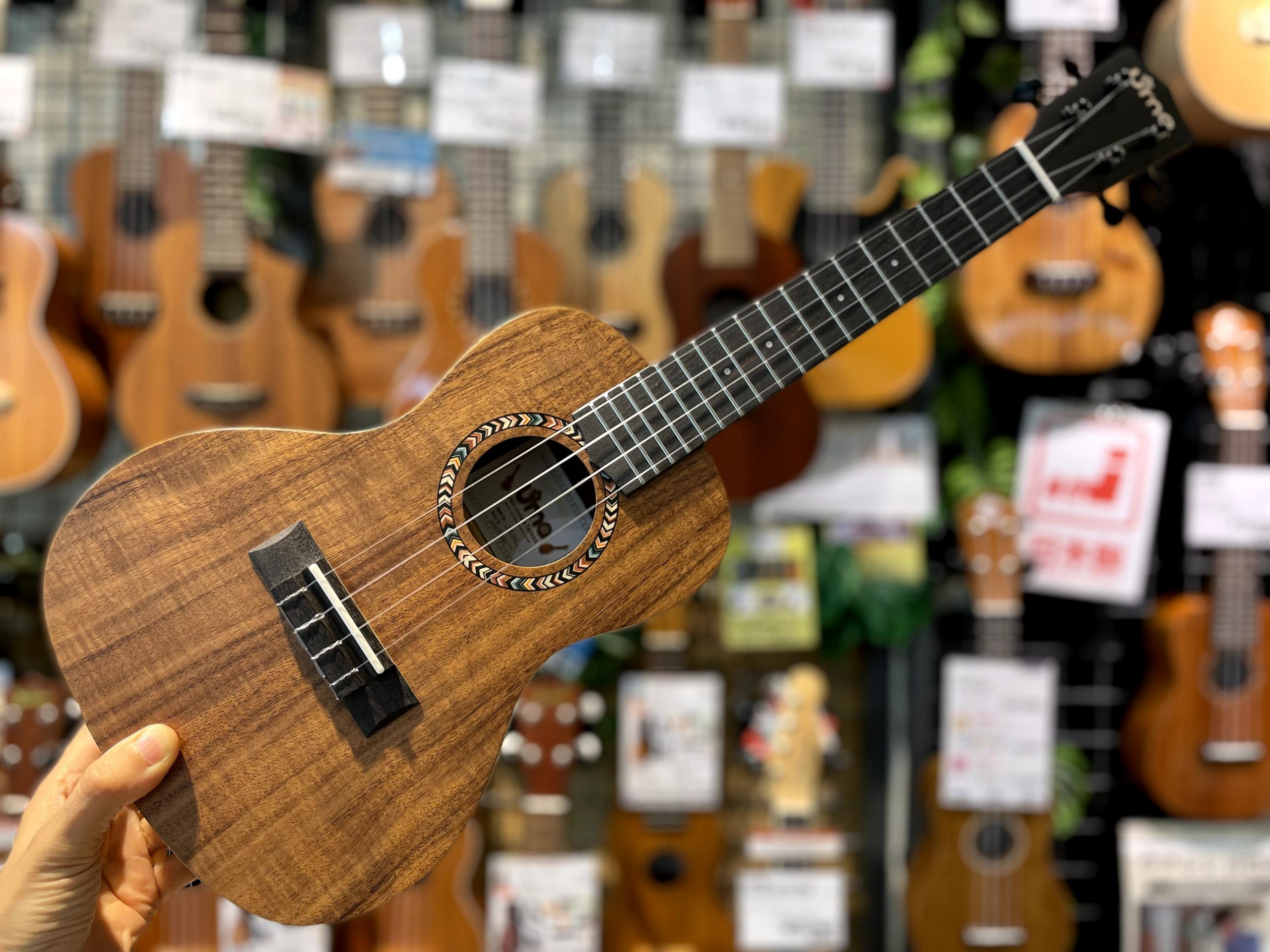 ウクレレ入荷情報 | Uma Ukulele UK-04C 入荷しました！
