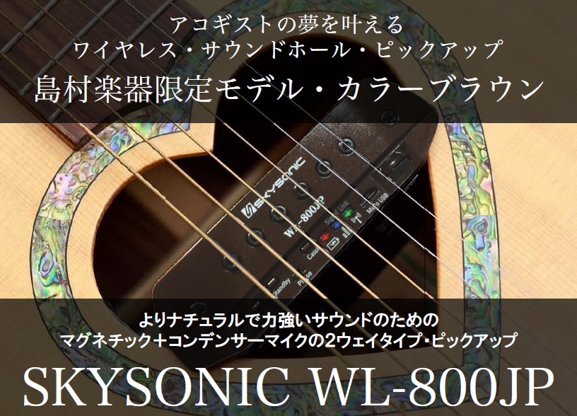 アコギ商品情報 | 島村楽器限定・SKYSONIC WL-800JP/BR