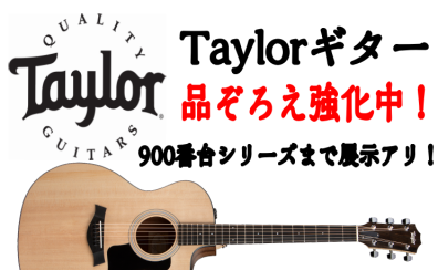 Taylorギター品ぞろえ強化中！