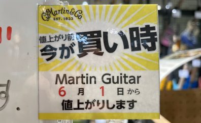 【値上がり目前！】Martinギター