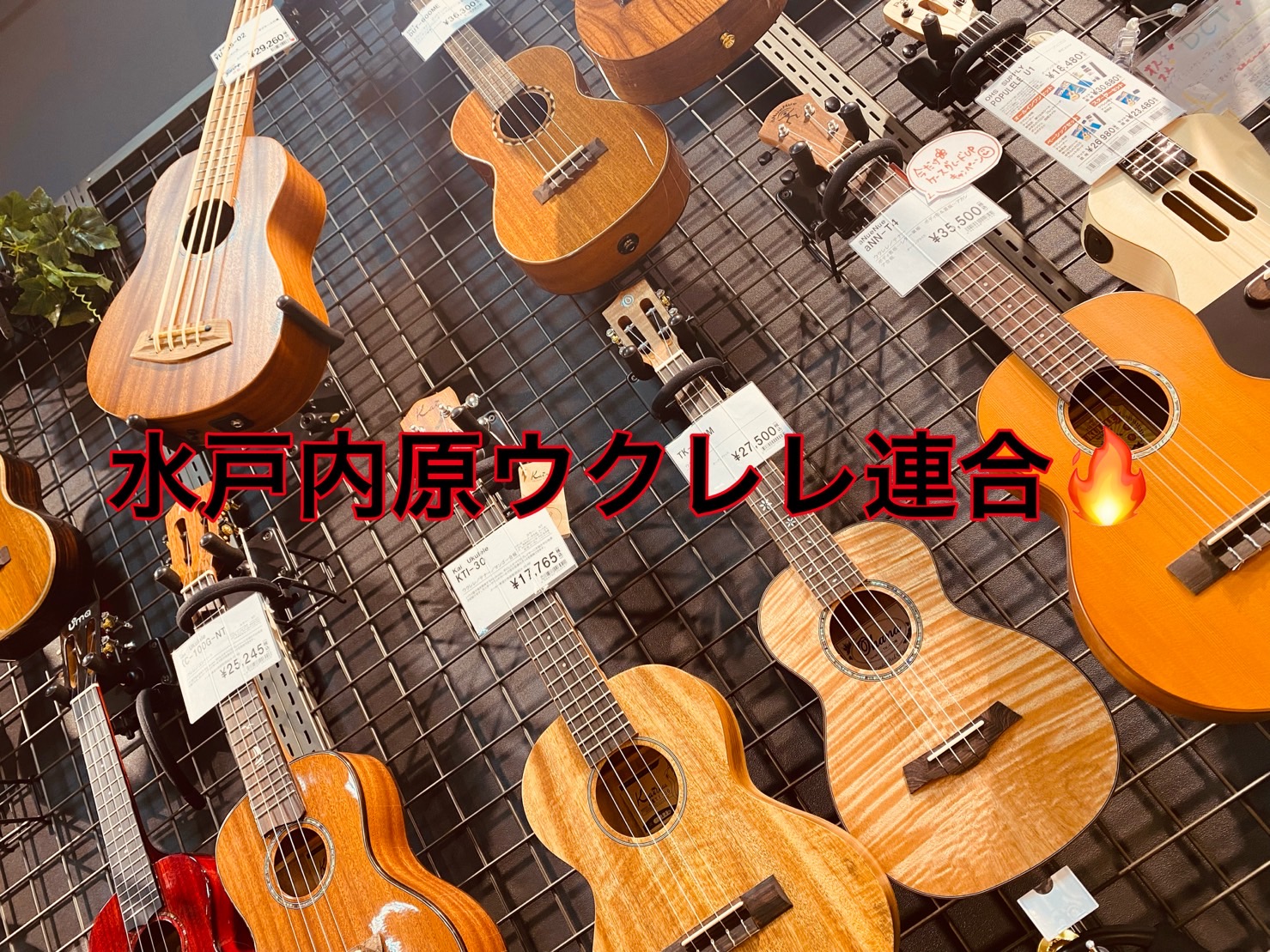 Aloha:D~🌸 年内ラスト！ウクレレサークル【水戸内原ウクレレ連合】修了しました！ 今回はいつもと違い約二時間でお届けし、合奏三曲とソロ発表会でございました！ サークルを発足して約一年になりますが、みなさまの成長がすごいです✨ 担当はウクレレを楽しんでくれてるようでとても嬉しいです😊 また来年も […]