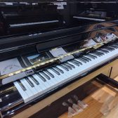 PRAMBERGER PV115　店頭に入荷いたしました！