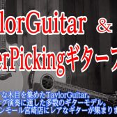 TaylorGuitar&FingerPickingGuitarフェア開催！