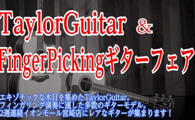 TaylorGuitar&FingerPickingGuitarフェア開催！