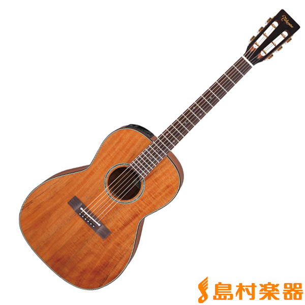 エレアコギターPTU431K（N）