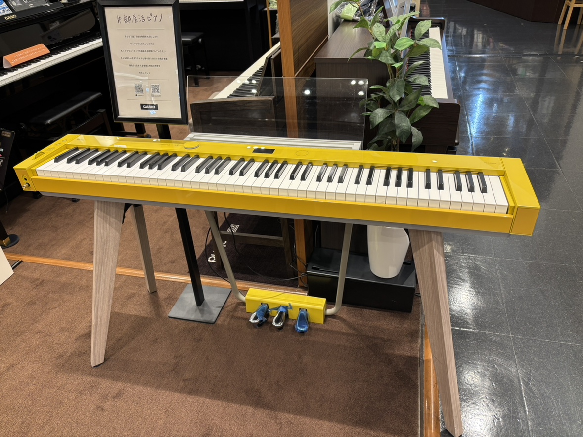 CASIOPX-S7000