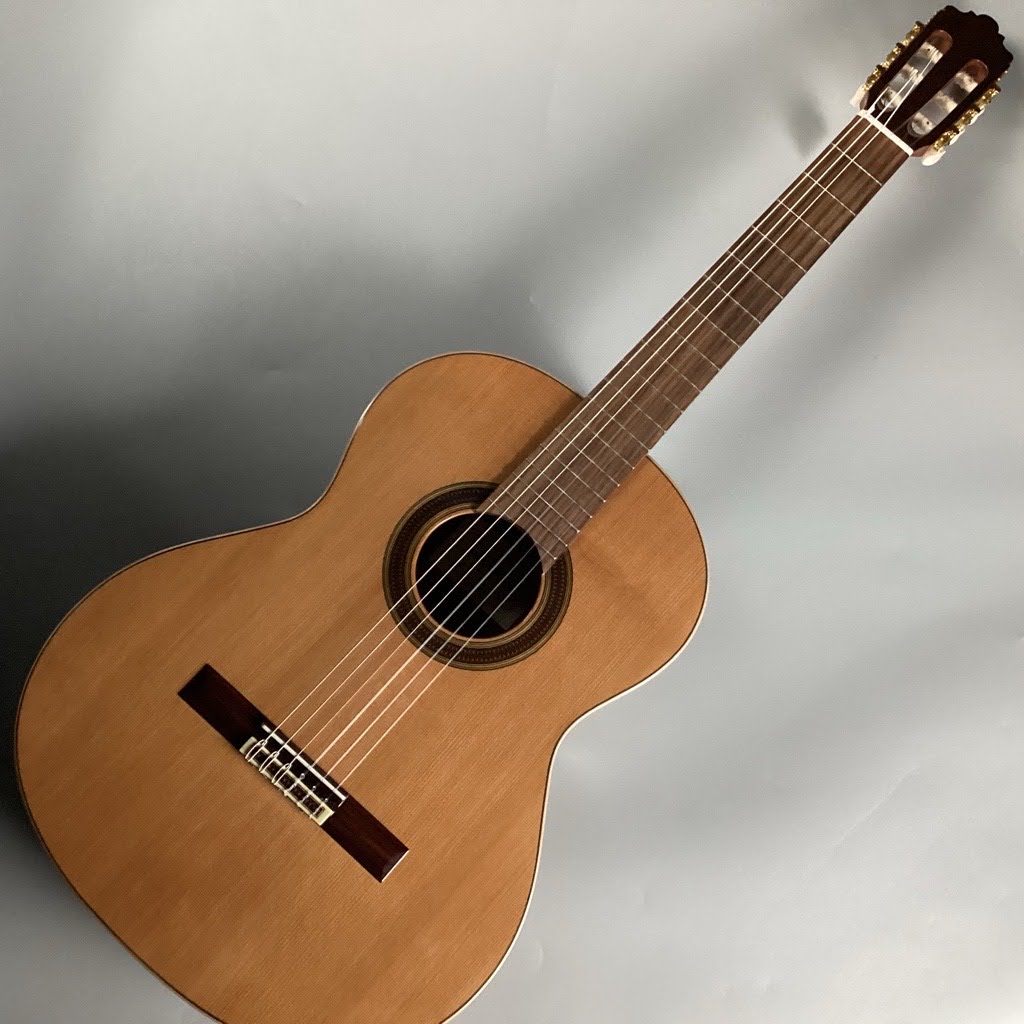 ARANJUEZ505SC 650