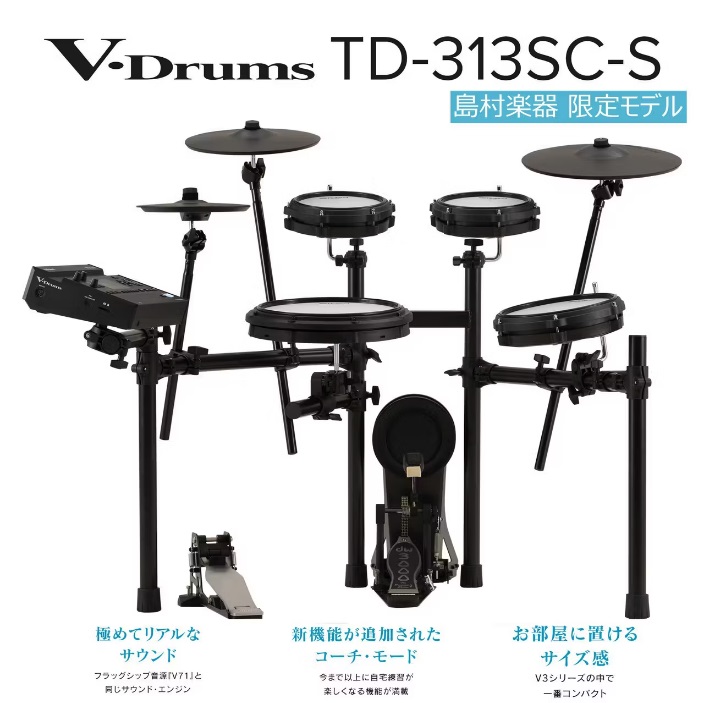 RolandTD313-SC-S
