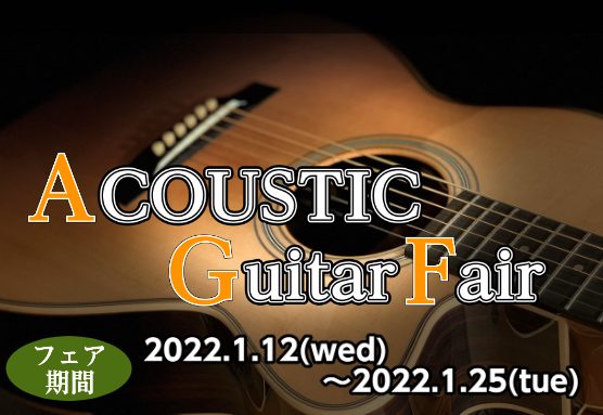 【期間限定】Gibson,Martinアコースティックギター展示試奏会　1月12日(水)～1月25日(火)