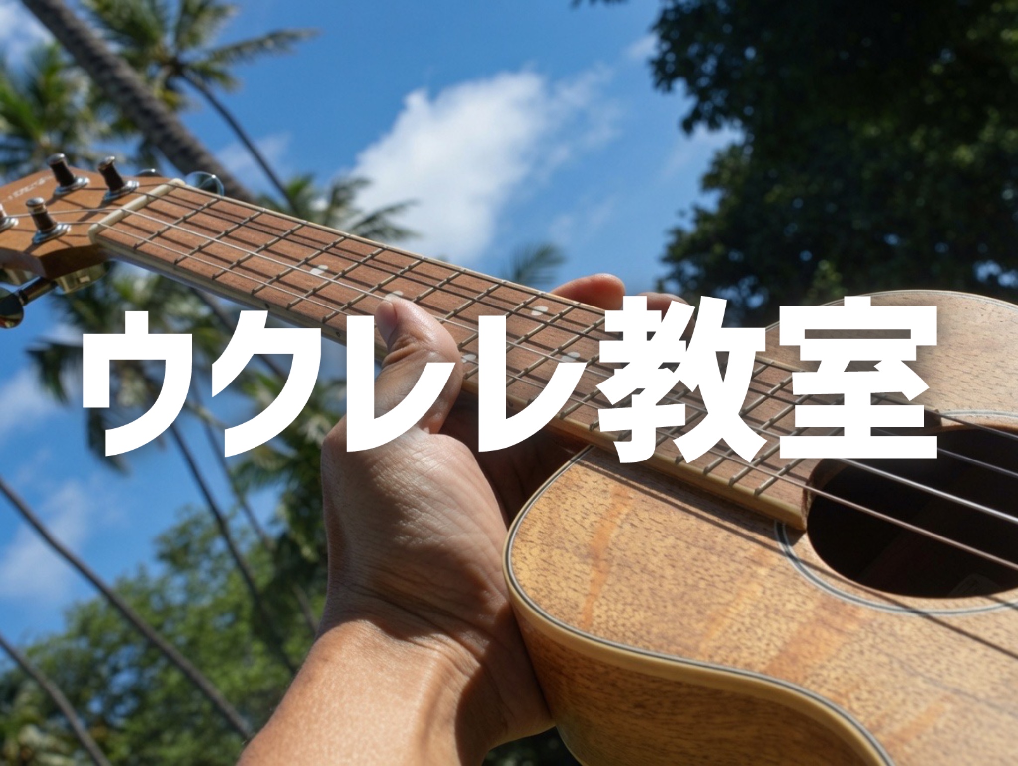 ハワイ生まれの可愛らしい弦楽器。陽気な音色が魅力です。ハワイアン音楽だけでなく、ポップスやジャズなど どんなジャンルとも相性抜群。持ち運びも便利なので、どこへでも一緒に出かけて、南国の風を感じてみませんか。 肩の力を思い切り抜いてマイペースで楽しみましょう！ お問い合わせ