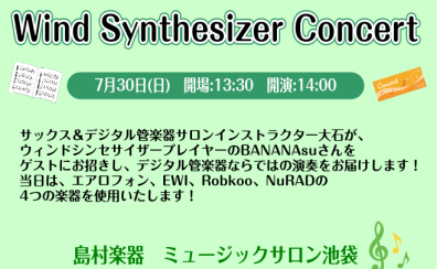 Wind Synthesizer Concert