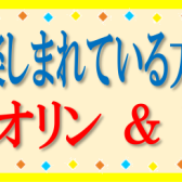 家族でレッスンを楽しんでいる方ご紹介「ヴァイオリン＆ピアノ」