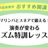 マリンバとスネアで鍛える！演奏が変わるリズム特訓レッスン