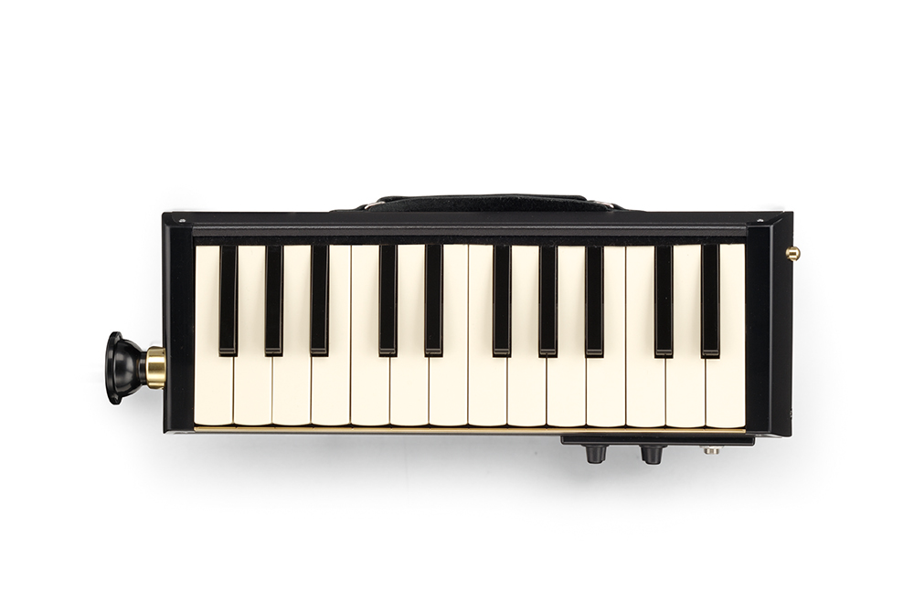 マイク内蔵モデル バスHAMMOND PRO-24B