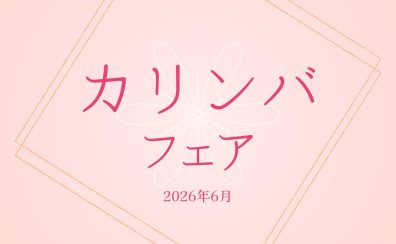 カリンバフェア開催！実際に試奏いただけます！