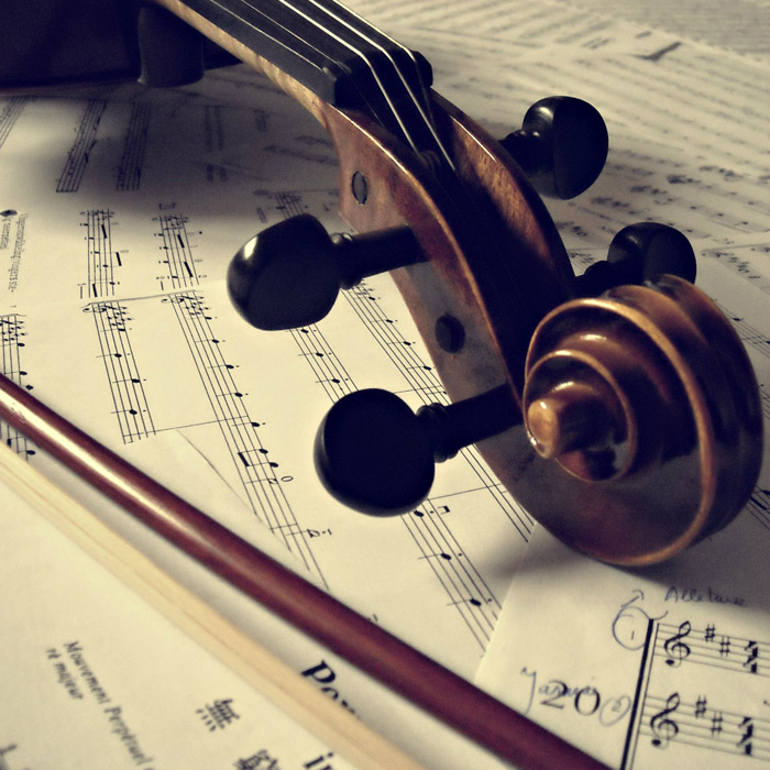 弦楽器の種類＆お手入れ方法～バイオリン・チェロ篇～
