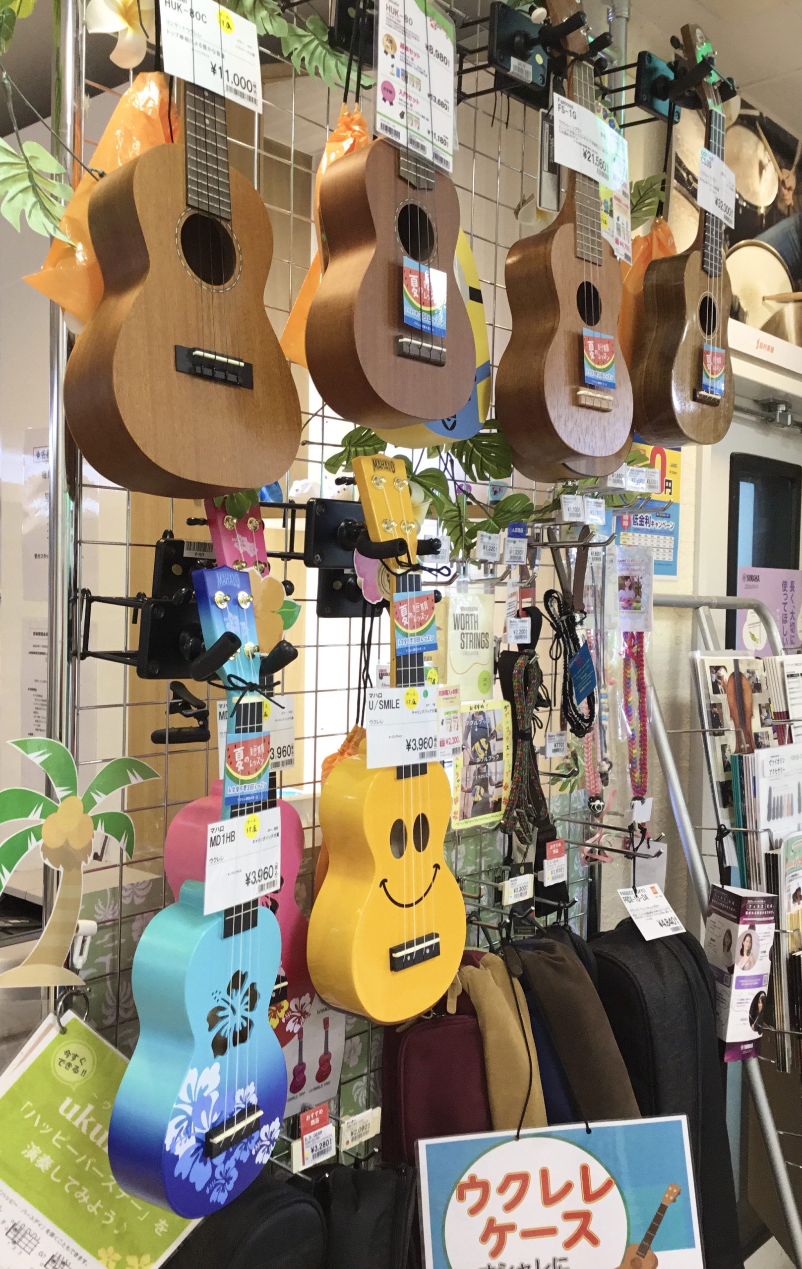 当店にあるウクレレと関連商品のご紹介（弾き比べ動画あり）｜島村楽器