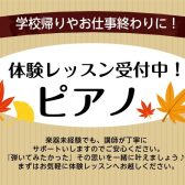 芸術の秋、音楽教室なら島村楽器ミュージックサロンパトリア西葛西にお任せ！