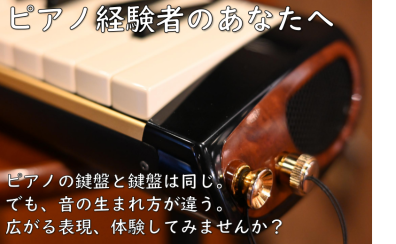 ピアノ経験者のあなたへ「吹く鍵盤」で広がる音楽の表現力！鍵盤ハーモニカのススメ