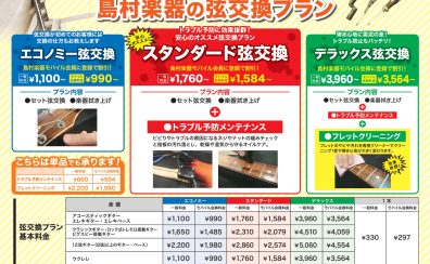 【弦交換・メンテナンス】当店で承ります！