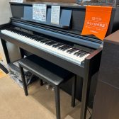 ピアノアドバイザーが選ぶ【オススメ電子ピアノ】～スタンダードモデル編　2025年　島村楽器むさし村山店