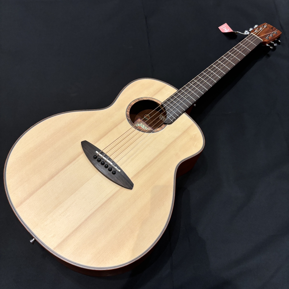 aNN-L10