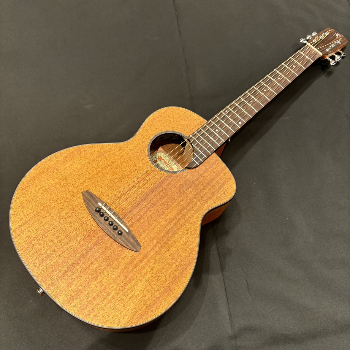 aNN-M25E