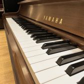 【4/5(日)開催】ロビーコンサート出演者募集